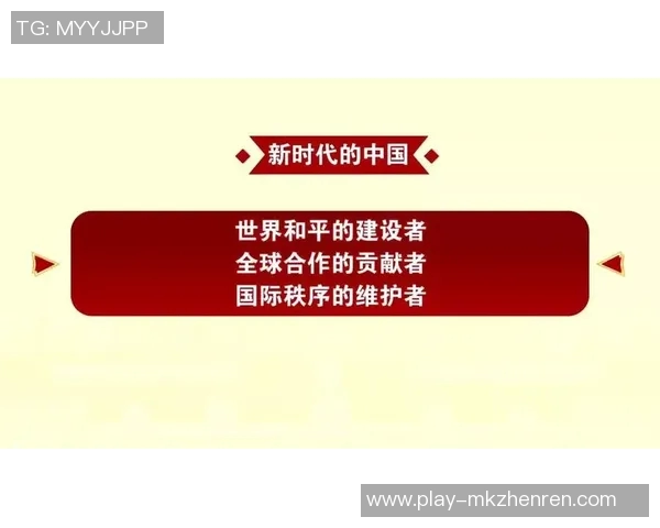 赖斯的外交智慧与全球影响力分析及其对未来国际关系的启示